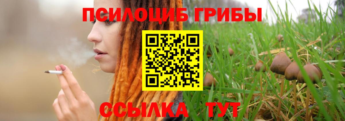 Новороссийск  Галлюциногенные грибы MAGIC MUSHROOMS  где можно купить   Вход с VPN 