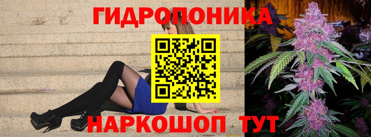 Марихуана конопля Новороссийск